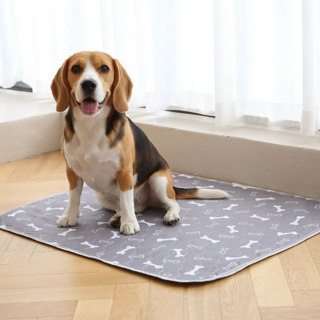 Ravunelo™ Pup Pad — Washable Training Pad for Fewer Accidents & Less Mess (Offer)