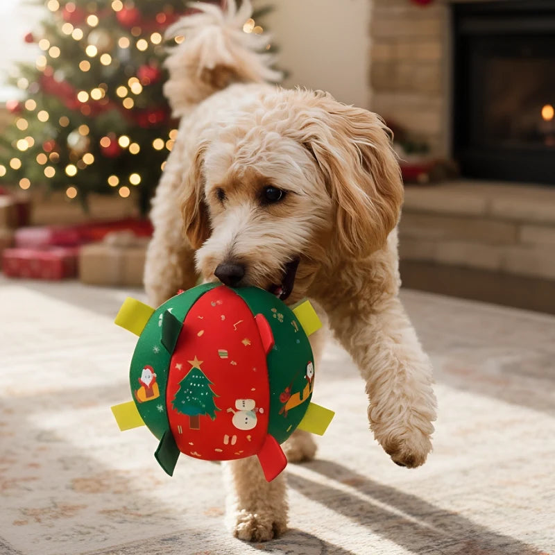 Ravunelo™ Christmas Rattle Ball — Shake, Chase & Cuddle