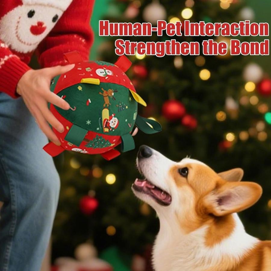 Ravunelo™ Christmas Rattle Ball — Shake, Chase & Cuddle