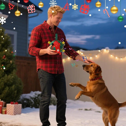 Ravunelo™ Christmas Rattle Ball — Shake, Chase & Cuddle