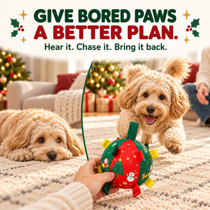 Ravunelo™ Christmas Rattle Ball — Shake, Chase & Cuddle
