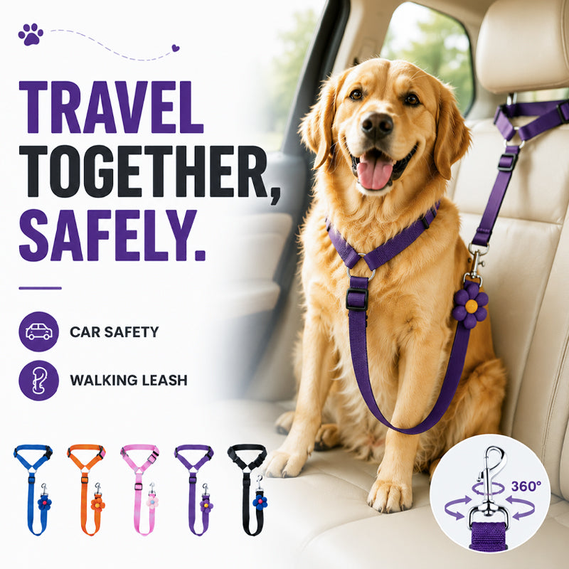 Ravunelo™ 2-in-1 Dog Car Restraint & Walking Leash