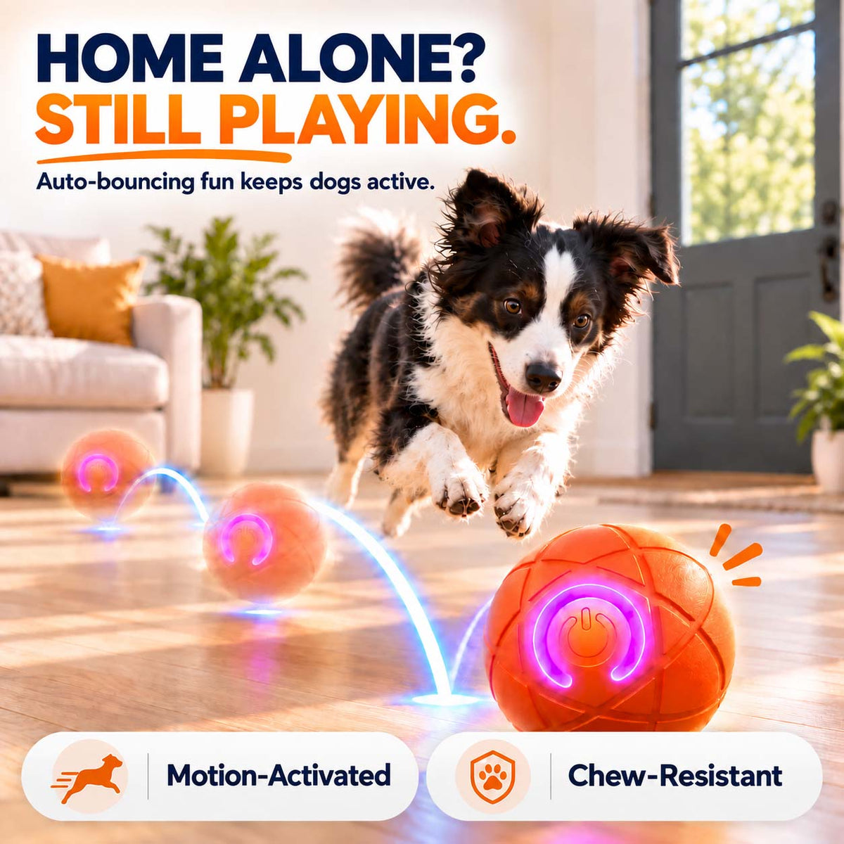 Ravunelo™🐾Auto-Bouncing Pet Ball with Remote Control🎾