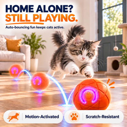 Ravunelo™🐾Auto-Bouncing Pet Ball with Remote Control🎾
