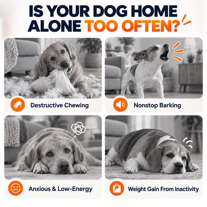 Ravunelo™🐾Auto-Bouncing Pet Ball with Remote Control🎾