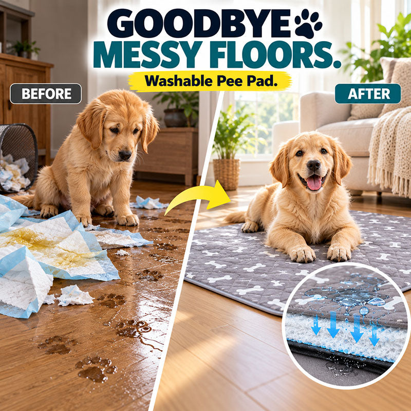 Ravunelo™ Pup Pad — Washable Training Pad for Fewer Accidents & Less Mess (Offer)