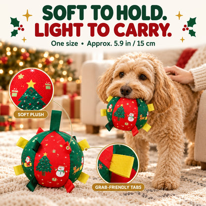 Ravunelo™ Christmas Rattle Ball — Shake, Chase & Cuddle
