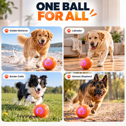 Ravunelo™🐾Auto-Bouncing Pet Ball with Remote Control🎾
