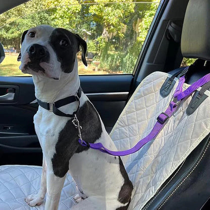 Ravunelo™ 2-in-1 Dog Car Restraint & Walking Leash