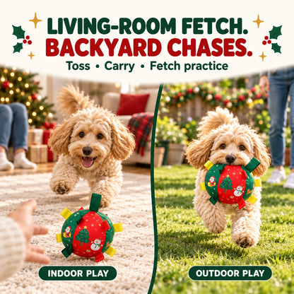 Ravunelo™ Christmas Rattle Ball — Shake, Chase & Cuddle