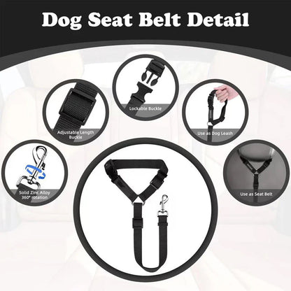 Ravunelo™ 2-in-1 Dog Car Restraint & Walking Leash