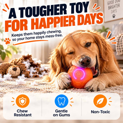 Ravunelo™🐾Auto-Bouncing Pet Ball with Remote Control🎾