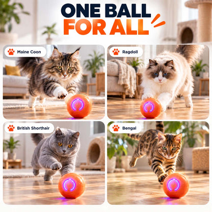 Ravunelo™🐾Auto-Bouncing Pet Ball with Remote Control🎾