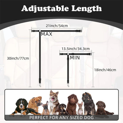 Ravunelo™ 2-in-1 Dog Car Restraint & Walking Leash