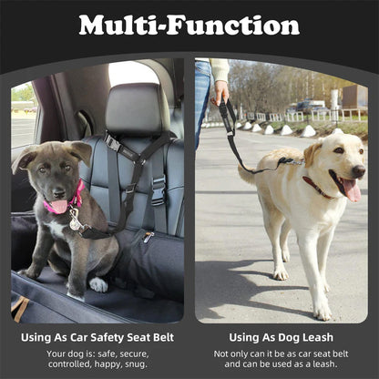 Ravunelo™ 2-in-1 Dog Car Restraint & Walking Leash