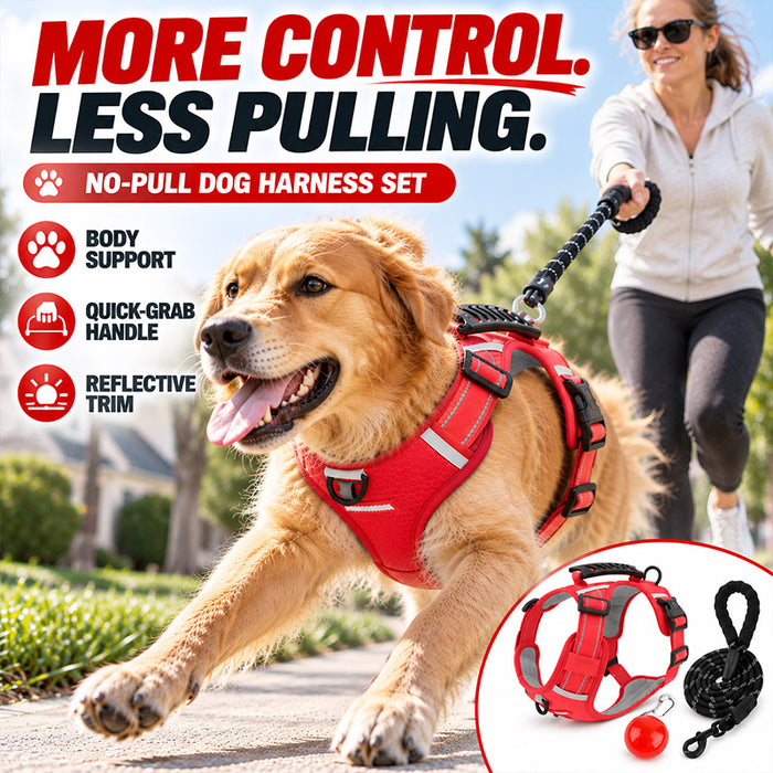 Ravunelo™ Reflective No-Pull Dog Harness Set