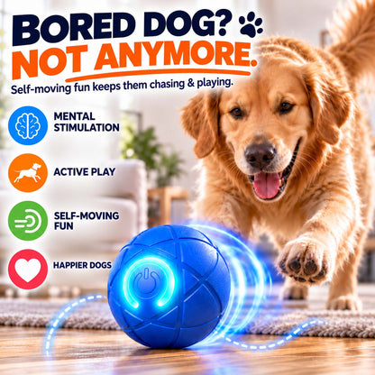 Ravunelo™🐾Auto-Bouncing Pet Ball with Remote Control🎾