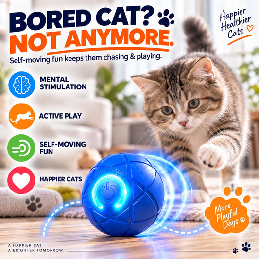 Ravunelo™🐾Auto-Bouncing Pet Ball with Remote Control🎾