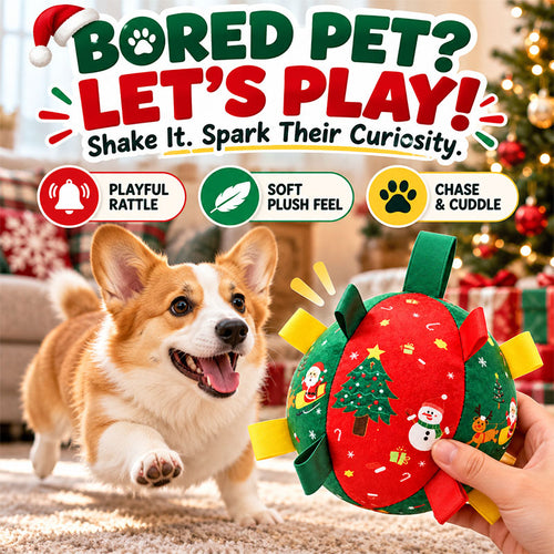 Ravunelo™ Christmas Rattle Ball — Shake, Chase & Cuddle