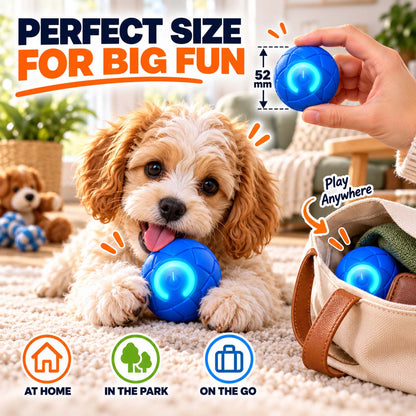 Ravunelo™🐾Auto-Bouncing Pet Ball with Remote Control🎾