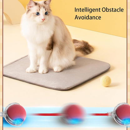 Ravunelo™ Smart Interactive Chase Ball for Pets