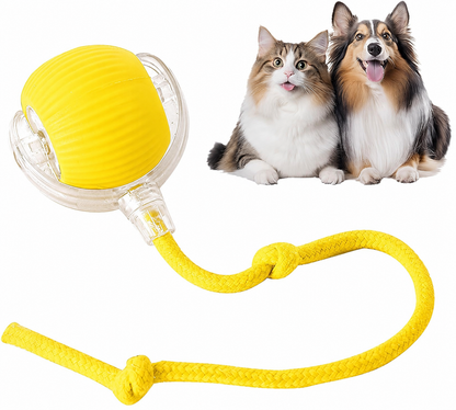 Ravunelo™ Smart Interactive Chase Ball for Pets
