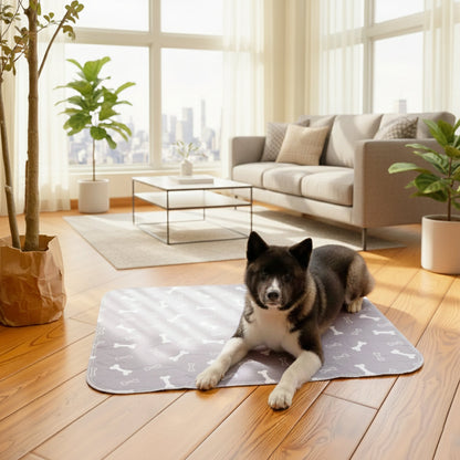 Ravunelo™ Pup Pad — Washable Training Pad for Fewer Accidents & Less Mess (Offer)