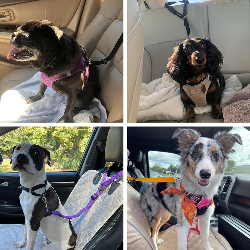 Ravunelo™ 2-in-1 Dog Car Restraint & Walking Leash