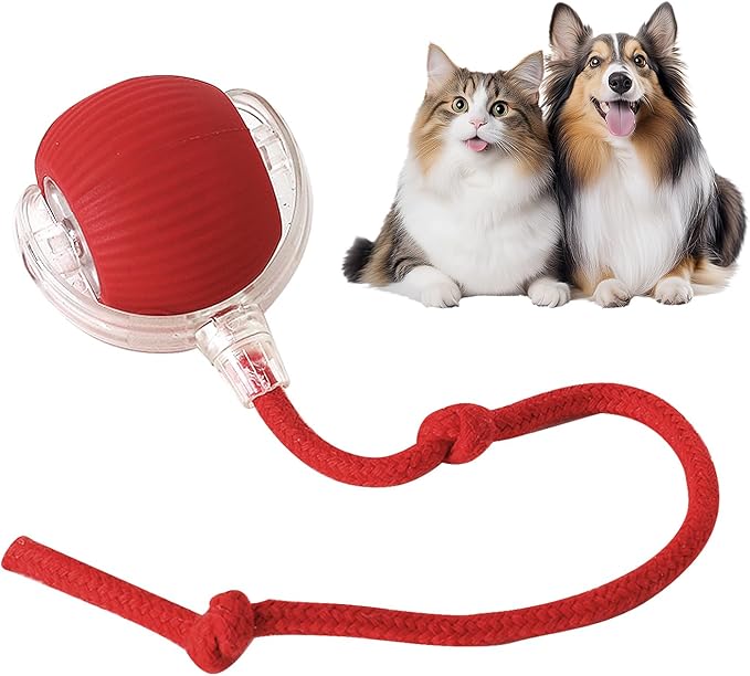 Ravunelo™ Smart Interactive Chase Ball for Pets
