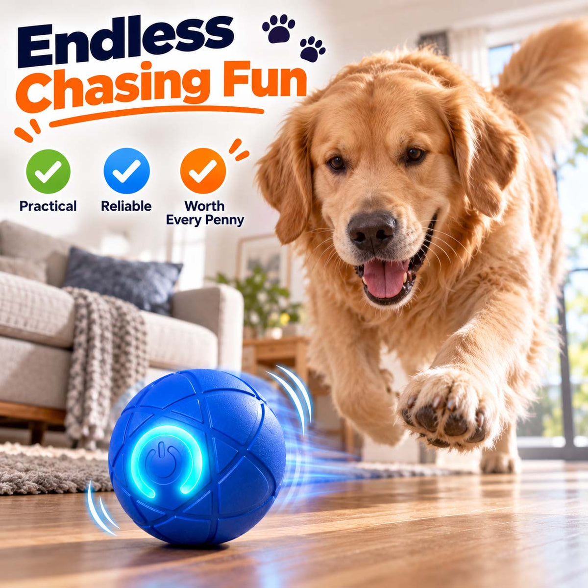 Ravunelo™🐾Auto-Bouncing Pet Ball with Remote Control🎾