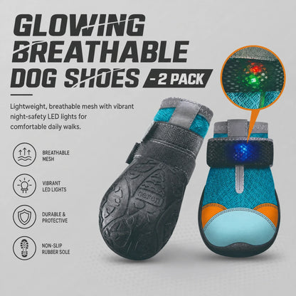 Ravunelo™ Breathable Mesh Dog Shoes with Luminous Soles