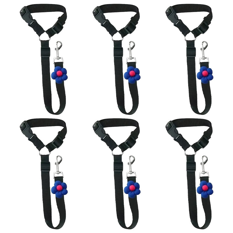 Ravunelo™ 2-in-1 Dog Car Restraint & Walking Leash
