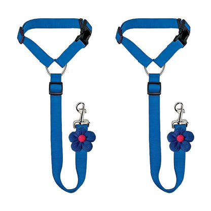 Ravunelo™ 2-in-1 Dog Car Restraint & Walking Leash