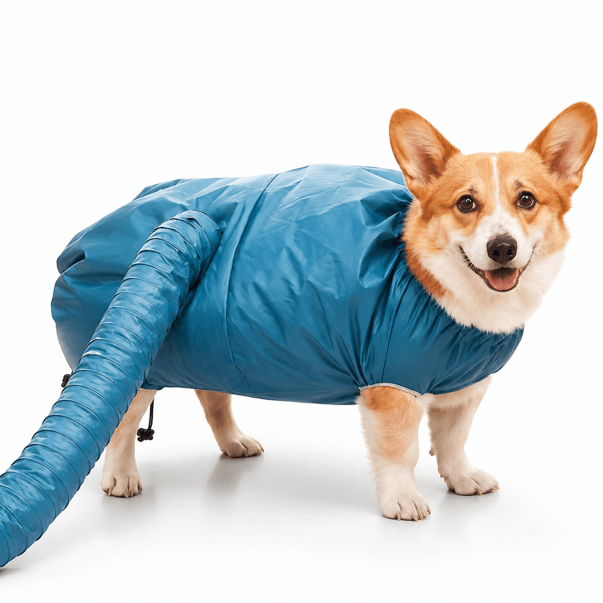 360° Hands-Free Pet Drying Bag