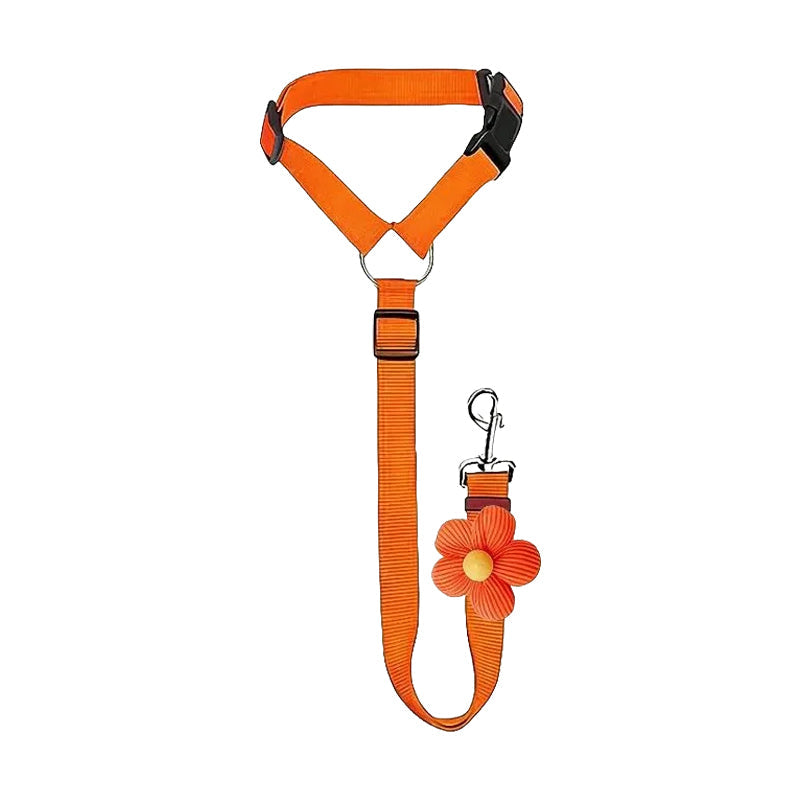 Ravunelo™ 2-in-1 Dog Car Restraint & Walking Leash