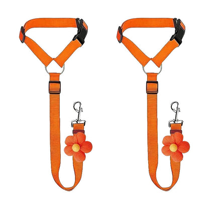 Ravunelo™ 2-in-1 Dog Car Restraint & Walking Leash