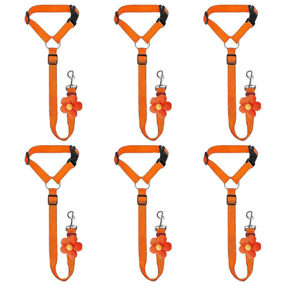 Ravunelo™ 2-in-1 Dog Car Restraint & Walking Leash