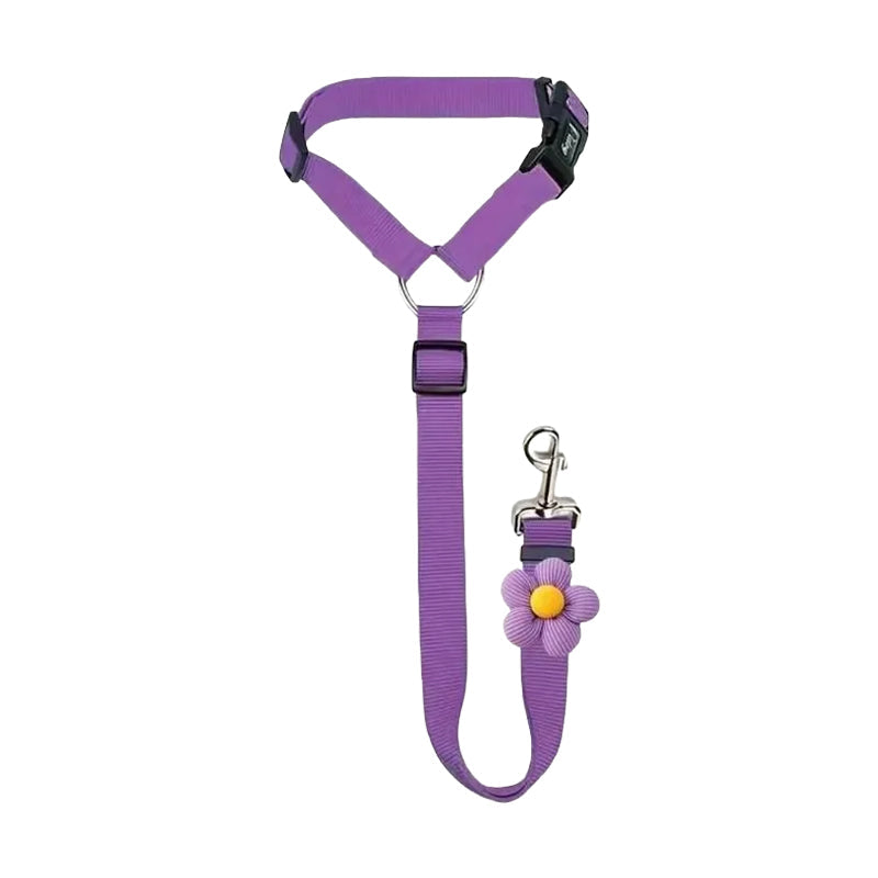 Ravunelo™ 2-in-1 Dog Car Restraint & Walking Leash