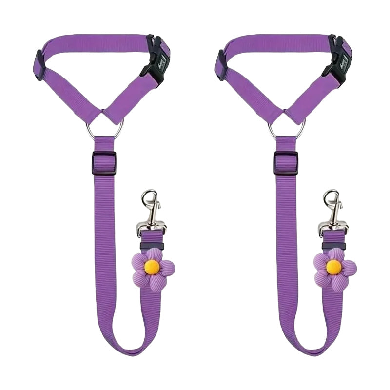 Ravunelo™ 2-in-1 Dog Car Restraint & Walking Leash