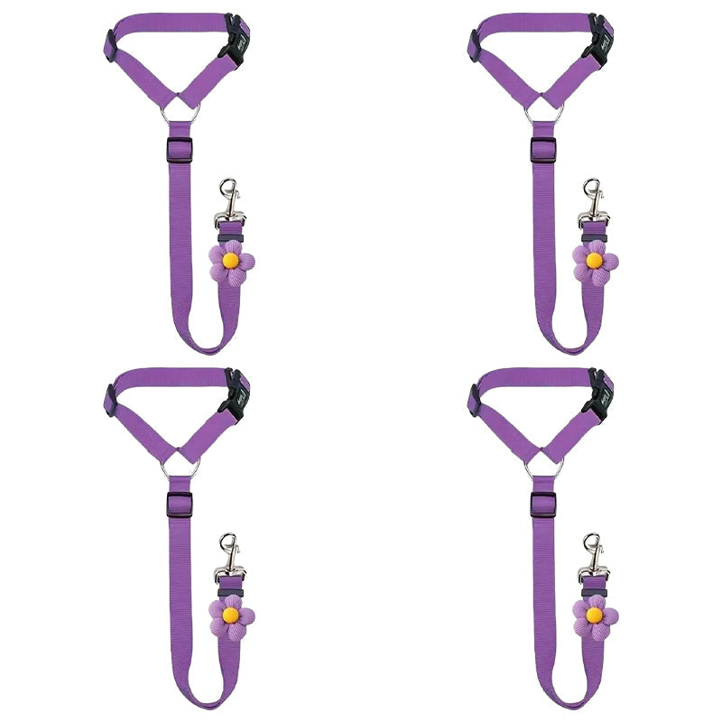 Ravunelo™ 2-in-1 Dog Car Restraint & Walking Leash