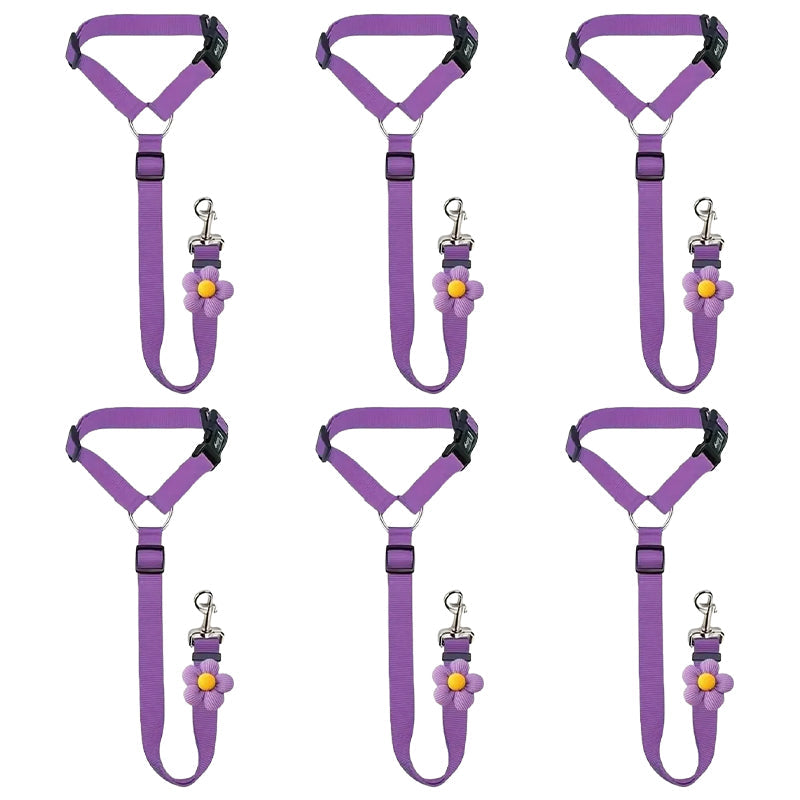Ravunelo™ 2-in-1 Dog Car Restraint & Walking Leash