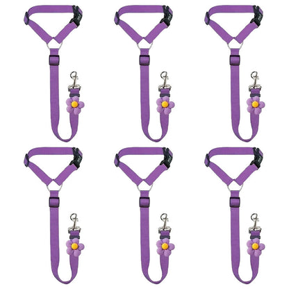 Ravunelo™ 2-in-1 Dog Car Restraint & Walking Leash