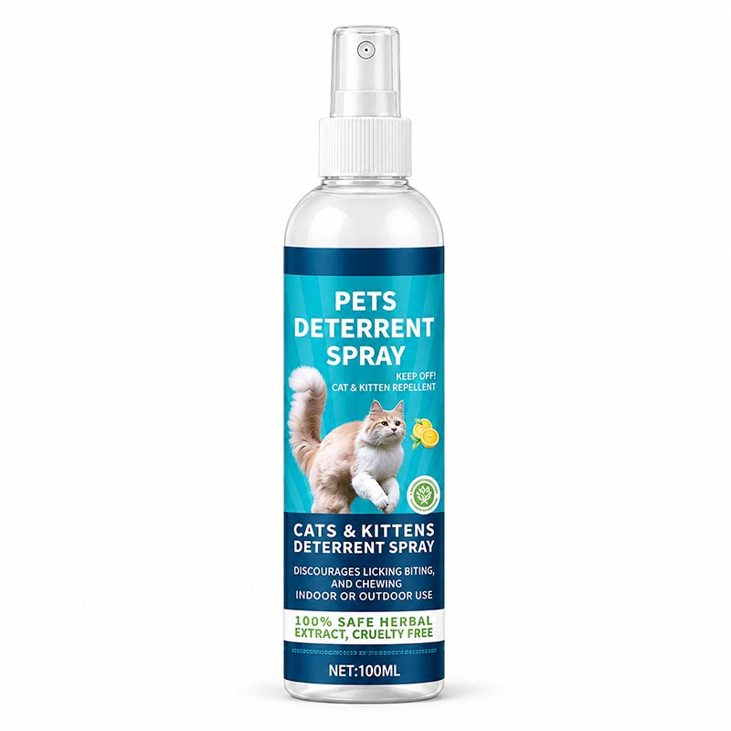 🌿1 Bottle — Single Spot Starter