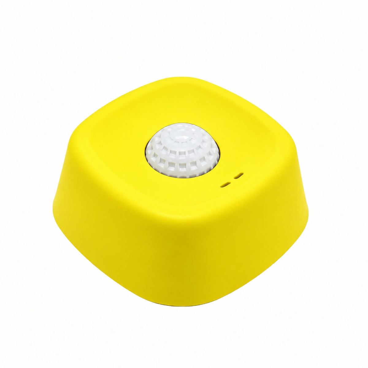 Ravunelo™ Calm Anxious Energy With 20+ Minutes of Enriching Play