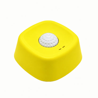 Ravunelo™ Calm Anxious Energy With 20+ Minutes of Enriching Play