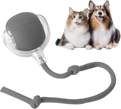 Ravunelo™ Smart Interactive Chase Ball for Pets