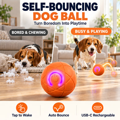 Ravunelo™ Auto-Bouncing Smart Pet Ball with Remote