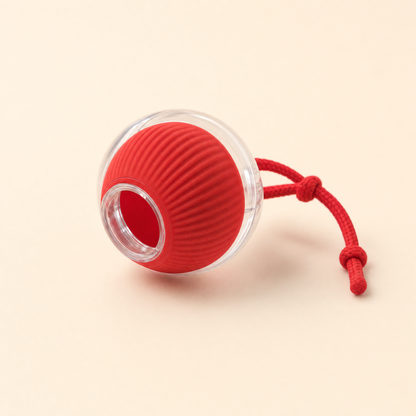 Ravunelo smart interactive chase ball