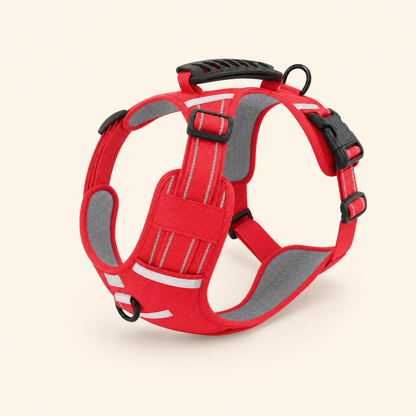 Ravunelo reflective no-pull dog harness set