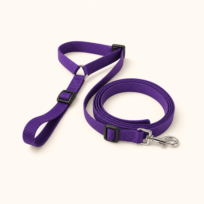 Ravunelo 2-in-1 dog car restraint and walking leash
